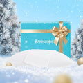 Breescape Cooling Pillow Cases Standard/Queen Size - BlendTek™ Dry & Cool Technology for Hot Sleepers and Night Sweats, 2 Pack Soft & Smooth Pillowcases for Hair & Skin Care, 20" x 30", Snow White