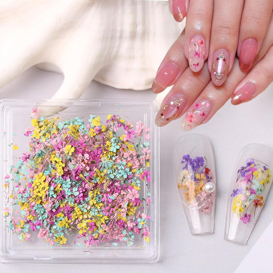 1 Box of Dried Flower Nail Stickers, Colored Dried Flower Nail Stickers, mini Real Flowers, Natural Flowers, 3D Baby's Breath Floral Art, Ladies and Girls DIY Nail Art Decoration