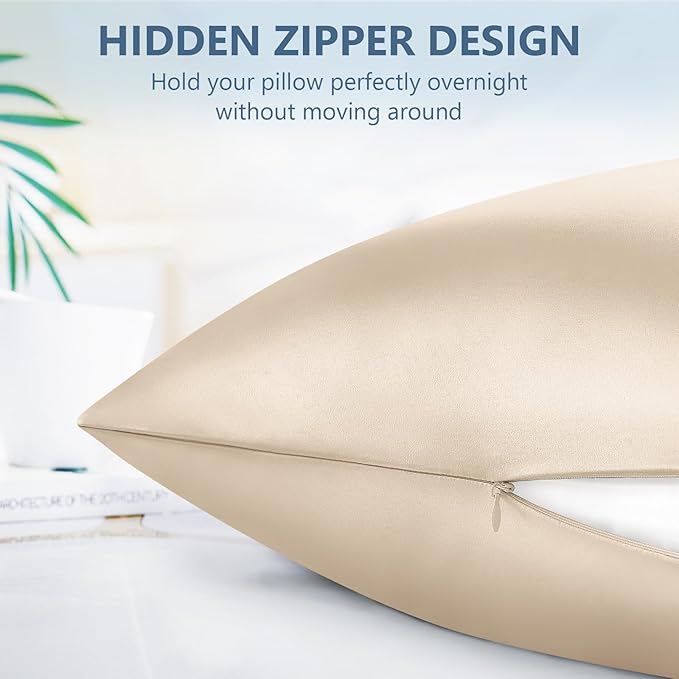 Silk Pillow Cases Queen Size 100% Mulberry Silk Pillowcase for Hair and Skin 22 Momme Both Side Grade 6A Silk Cooling Soft Breathable 20 x 30 Inches with Hidden Zipper 1PC, Beige