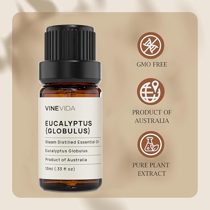 VINEVIDA Eucalyptus Essential Oil - 10 mL Undiluted - DIY Candle Scents - Safe for Skin