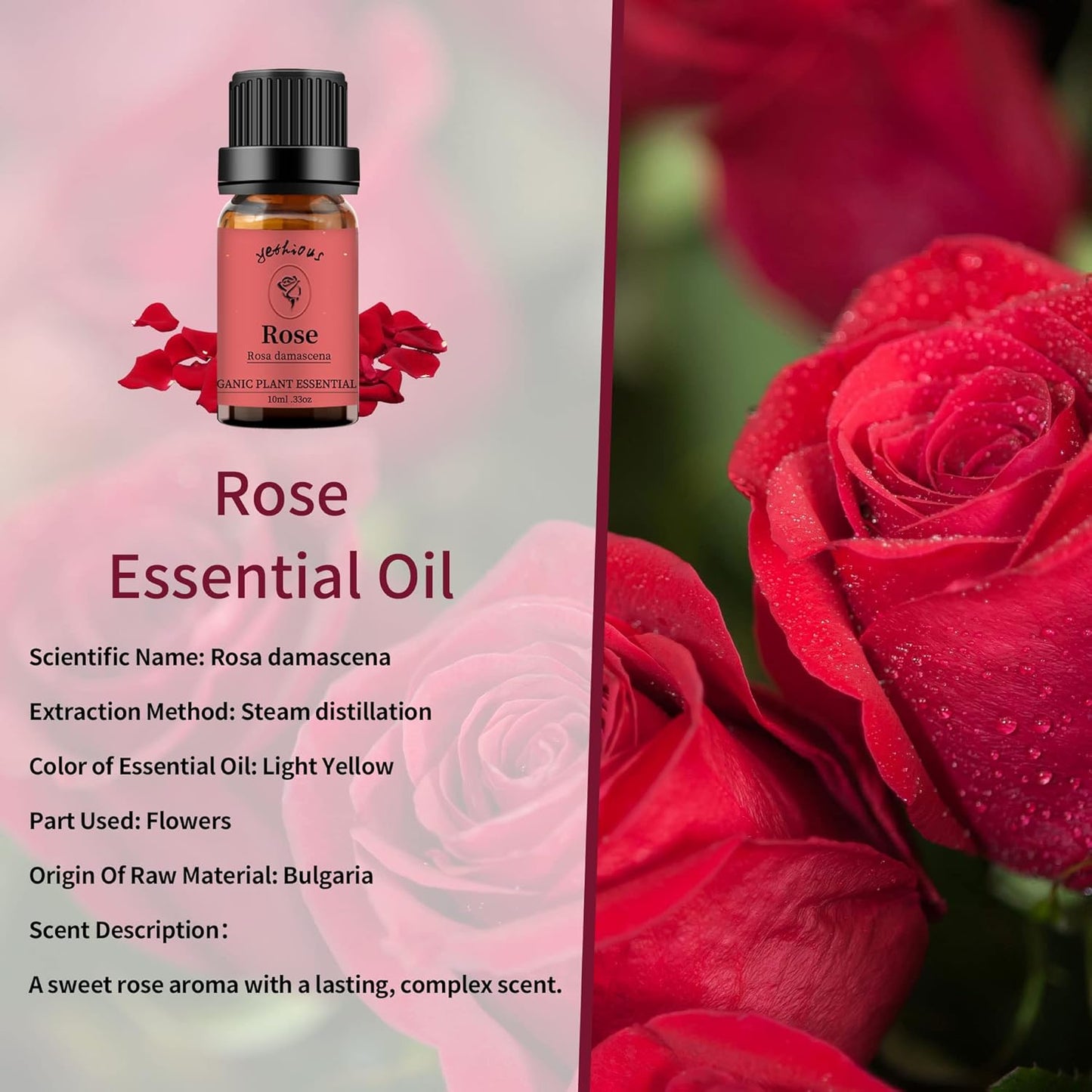 yethious Rose Jasmine Chamomile Essential Oil Set Organic 100% Pure Aromatherapy Oil for Diffuser, Soap, Candle Making 3 X 10ML