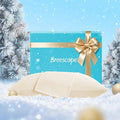 Breescape Cooling Pillow Cases King Size - BlendTek™ Dry & Cool Technology for Hot Sleepers and Night Sweats, 2 Pack Ultra Soft & Smooth Pillowcases for Hair & Skin Care, 20" x 36", Ivory