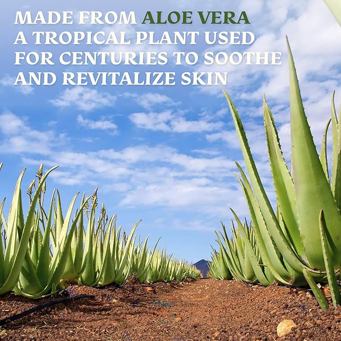 Green Leaf Naturals Amazing Aloe Vera Gel - Freshly Cut, 100% Pure Aloe, Premium Quality, Vegan, Unscented - Natural Sunburn Relief, After Shave, Skin, Face & Hair Care 12oz