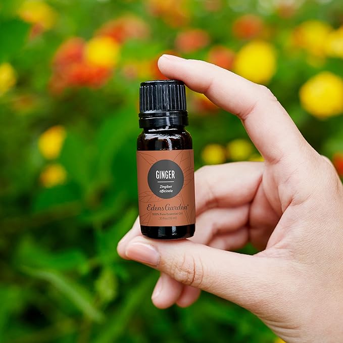 Edens Garden Ginger Essential Oil- 100% Pure Premium Grade, Undiluted, Natural, Therapeutic, Aromatherapy, The Best for Diffuser, Skin, Candle, Kid Safe 30 ml (1 fl oz)
