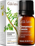 Gya Labs Cinnamon Cassia Essential Oil - 0.34 Fl Oz - for Hair, Skin, Diffuser, Aromatherapy & DIY Candle Making Scent