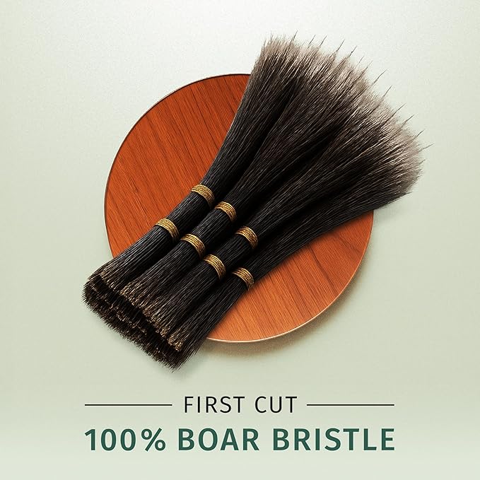 SHASH 100% First Cut Boar Bristle Hair Brush, Suitable For Thin To Normal Hair - Naturally Conditions Hair, Improves Texture, Exfoliates, Stimulates, Made in Germany (Black, Small)