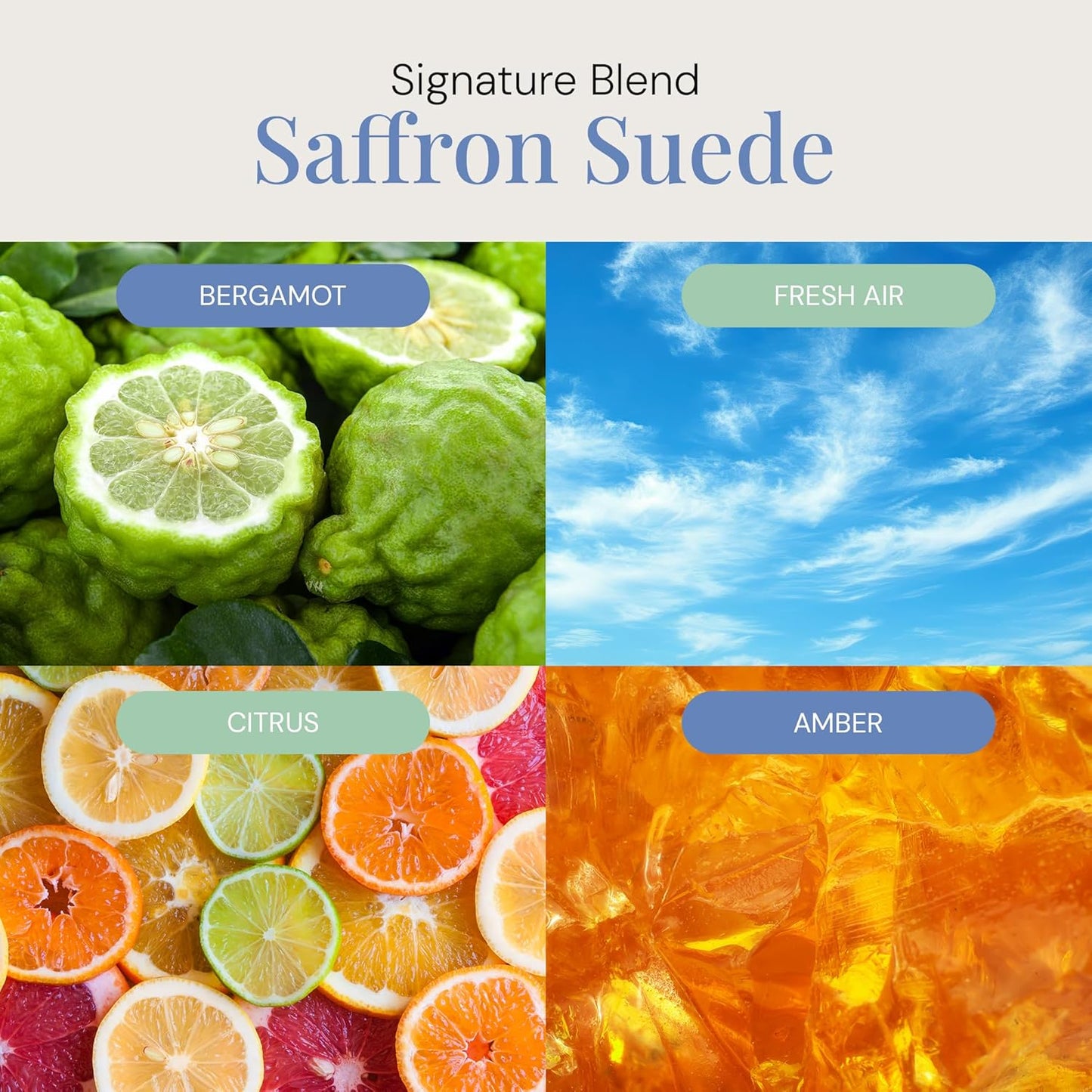 Saffron Suede Aroma Oil, Essential Oils Blend for Diffusers & Scent Machines, Bergamot Fresh & Light Floral, Aromatherapy, Cold Air Diffuser Compatible, 300 mL