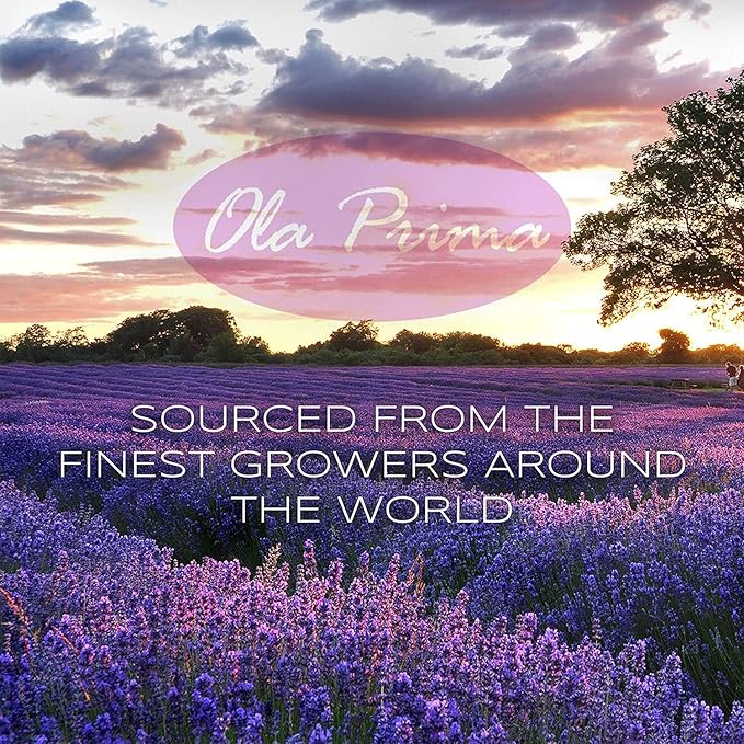 Ola Prima Oils Vanilla Essential Oil 4 oz - Vanilla Essential Oil for Diffuser, Candles, Soap Making, Aromatherapy, and Skin