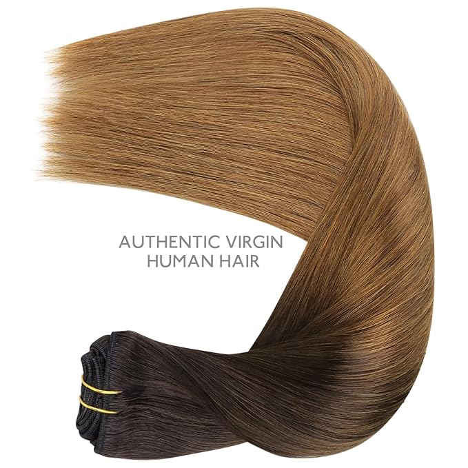 WENNALIFE Clip in Hair Extensions Real Human Hair, 22 Inch 130g 7pcs Remy Hair, Ombre Dark Brown to Light Chestnut Brown Straight Natural Extensiones De Cabello Humano Con Clip Ins