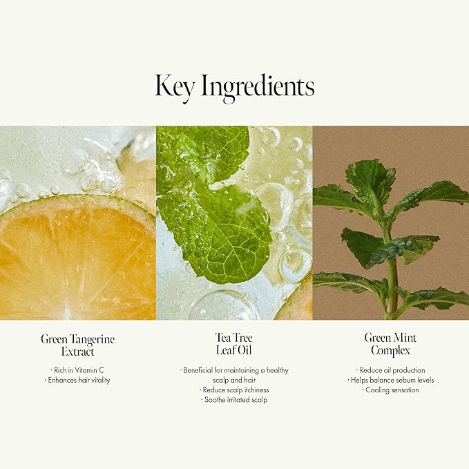 ANILLO Sunday Refresh Lime Hair Essence with Vitamin C, Tea Tree Leaf Oil, and Green Mint - Enhancing Hair Vitality, Citrus Scent, Paraben-Free (50ml / 1.69 fl. Oz)