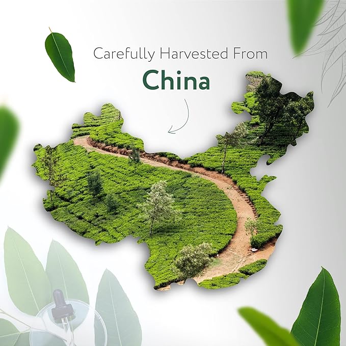 HBNO California Bottled Organic Eucalyptus Essential Oil (Globulus) - 4 fl oz (120ml) - USDA Certified Organic - Ideal for Diffuser, Hair, Face, Skin Care, Aromatherapy, Scalp & Body Massage