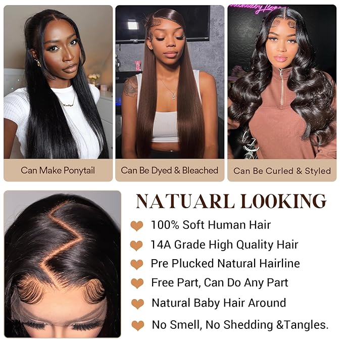 13X6 Lace Front Wigs human hair, 100% Real Human Hair,[More 1 Year Life,210-310g], Straight Wigs Human Hair Pre Plucked Glueless Wigs Human Hair for Women (22Inch)