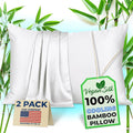 Pillow Cases - 100% Viscose Derived from Bamboo - Cooling Pillowcase - Queen Size, White, Set of 2 Zippered - for Hot Sleepers - Soft Pillow Covers - by Vegan Silk