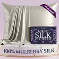 DECOLURE 100% Pure Mulberry Silk Pillow Case Queen Size – Highest Grade 30 Momme 6A+, Luxuriously Soft & Cooling Silk Pillowcase for Hair & Skin, Hypoallergenic, Breathable, Hidden Zipper (Ivory)