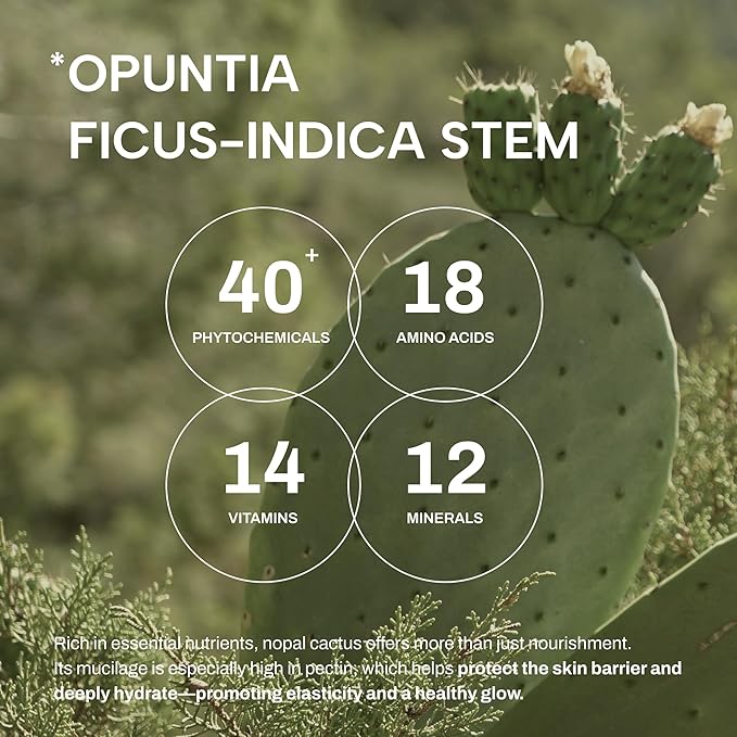 Whamisa Organic Cactus Bouncy Serum, 48 hrs Inner Skin Moisture, 72 hrs Hydrating and Moisturizing, Postbiotics, Facial Ampoule (52ml)