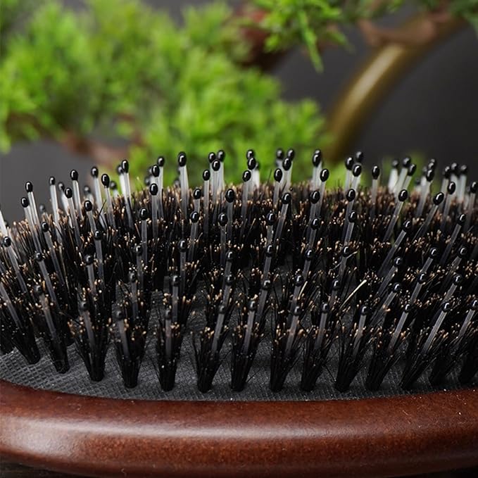 Lindale Boar Bristle Hair Brush for Women Men, Natural Black Zelkova Wooden Bristles Detangler Paddle Hairbrush for Hair Growth Beard, Reduces Static for Curly Hair with Ergonomic Handle