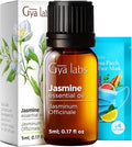 Gya Labs Jasmine Essential Oil - 0.17 Fl Oz - for Hair, Skin, Diffuser, Aromatherapy & DIY Candle Making Scent