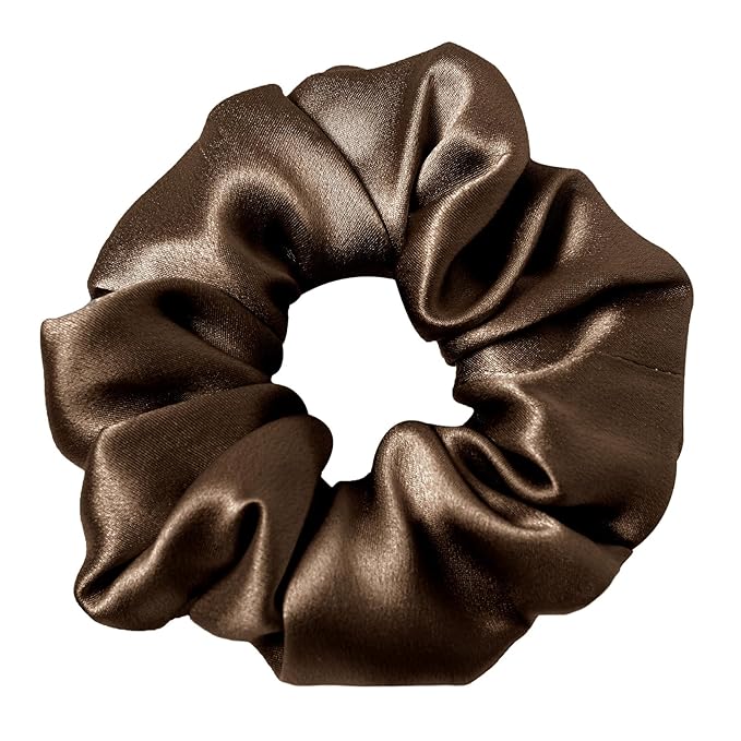 LILYSILK Silk Hair Scrunchies/Ties for Frizz & Breakage Prevention, 100% Mulberry, No Damage, Elastic ponytail Holders, 5PC, Fixed Colors (Black+Light Coffee+Bright Coffee+Caramel+Chocolate)