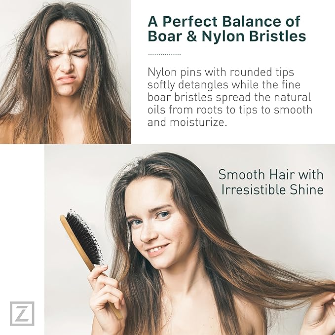 Natural Boar Bristle Hair Brush & Mini Hair Brush Set for Women, Men, Kids; Dry and Wet Detangling Hair Brush Gently Enhances Shine, Great for travel or to keep in your bag