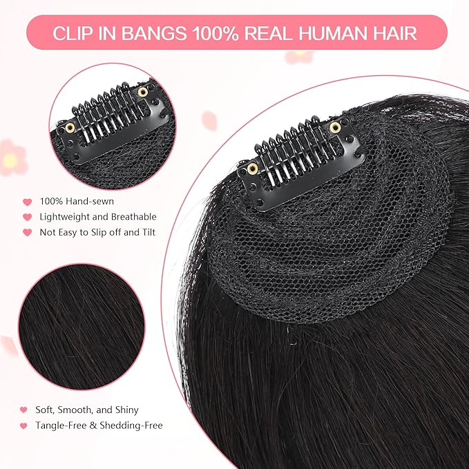 Clip in Bangs 100% Real Human Hair, French Bangs Hair Clip, Fake Bang Fringe with Temples Hairpieces for Women Daily Wear (Natural Black, French Bangs)