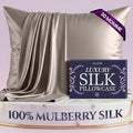 DECOLURE 100% Pure Mulberry Silk Pillow Case King Size – Highest Grade 30 Momme 6A+, Luxuriously Soft & Cooling Silk Pillowcase for Hair & Skin, Hypoallergenic, Breathable, Hidden Zipper (Champagne)