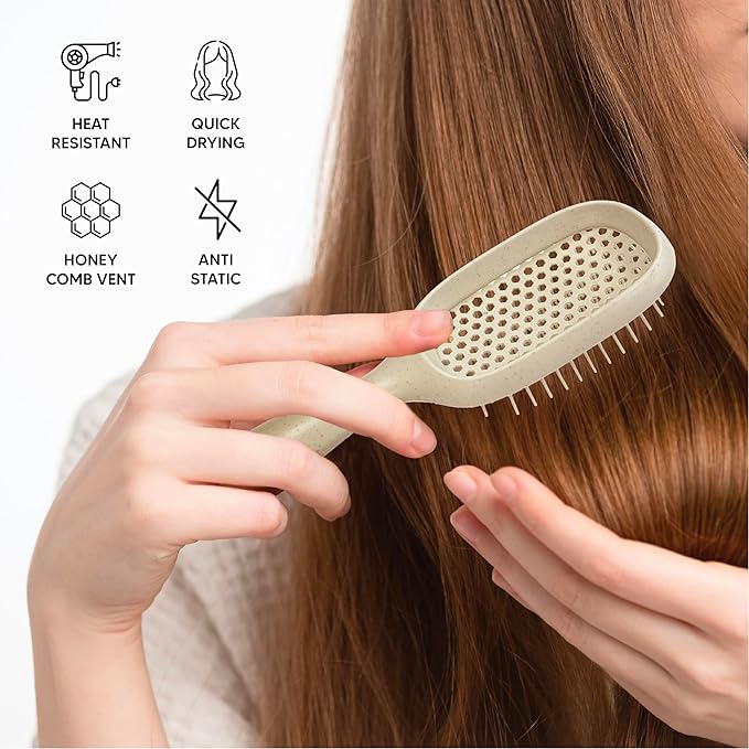 TADA Natural Beauty Hair Brush Detangler for Curly, Thick, Wavy, and Thin Hair - Ventilation Holes for Quick Drying and Styling, Detangler Brush for Women, Men, Kids (4 Colors) (4PK)