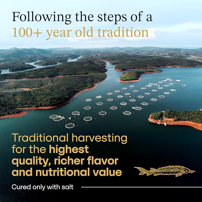 OVERNIGHT GUARANTEED, BESTER Premium Russian Osetra Sturgeon Caviar - 2x 1 oz-30G (Duo Pack) 2 tins of 30g each - Malossol Ossetra Black Roe - Premium Quality, Traditional Style, imported