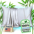 Pillow Cases - 100% Viscose Derived from Bamboo - Cooling Pillowcase - Queen Size, Silver Gray, Set of 2 Zippered - for Hot Sleepers - Soft Pillow Covers - by Vegan Silk