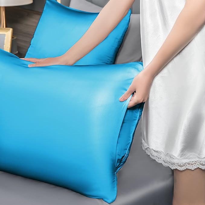 Mulberry Silk Pillowcase for Hair and Skin,Standard Size Cooling Silk Pillow Case with Hidden Zipper,Allergen Proof Dual Sides Soft Breathable Smooth Silk Pillow Cover for Women(Standard,Ice+ Blue)