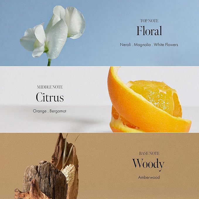 ANILLO Neroli Glow Hair Essence with Bitter Orange Flower Oil & Complex for Soft Shine, Floral Citrus Scent, Paraben-Free (50ml / 1.69 fl. Oz)