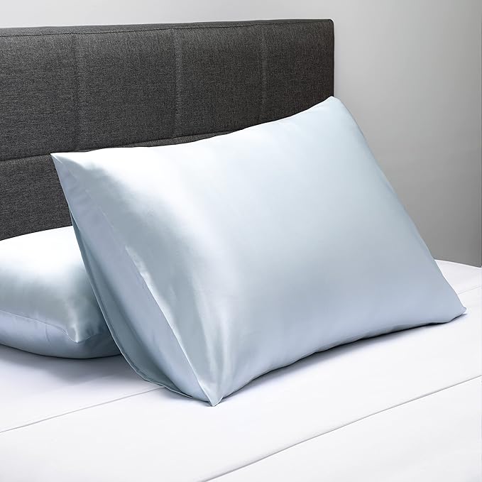 Fishers Finery 25mm 100% Pure Mulberry Silk Pillowcase (Lt Blue Queen)