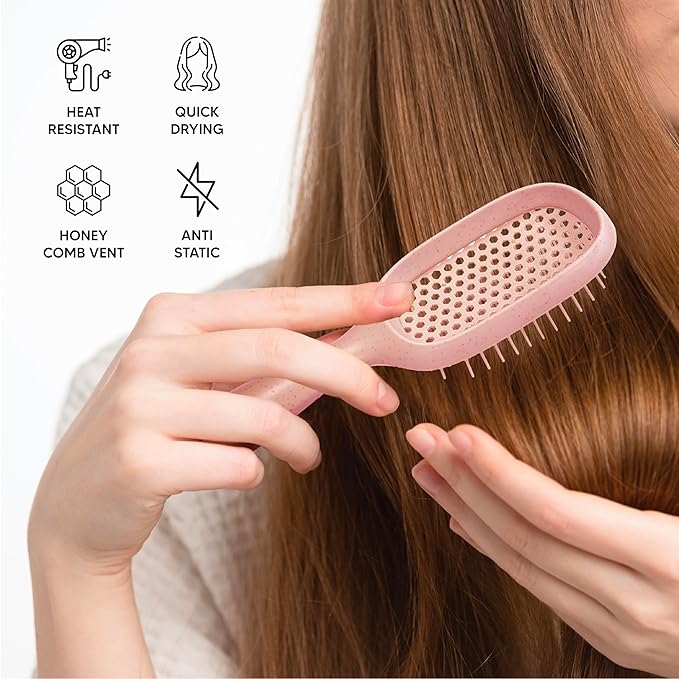 TADA Natural Beauty Hair Brush Detangler for Curly, Thick, Wavy, and Thin Hair - Ventilation Holes for Quick Drying and Styling, Detangler Brush for Women, Men, Kids (4 Colors) (2PK #1)
