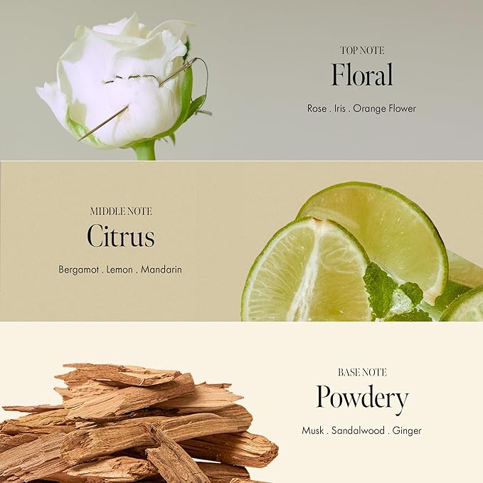 ANILLO Rosy Night Repair Hair Essence with Damask Rose Extract, Rosehip Oil, Peptide Complex for Dry, Damaged, Frizzy Hair - Musky Floral Scent, Vegan, Paraben-Free 50ml / 1.69 fl. Oz