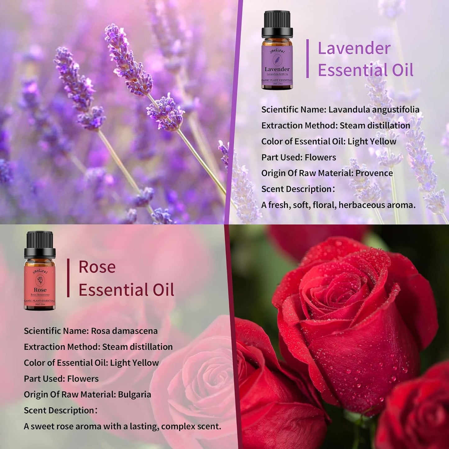 yethious 2 Pack Lavender Rose Essential Oil Set 100% Pure Organic Lavender Aromatherapy Oil Rose Fragance Oil for Diffuser Essential Oil Set
