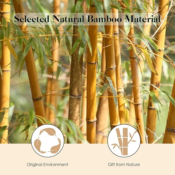 GAINWELL Bamboo Hair Brush for Hair Growth, Natural Bamboo Bristles Detangling Wooden Paddle Hairbrush for Massaging Scalp, for Women Men and Kids, for All Hair Types, with Ergonomic handle