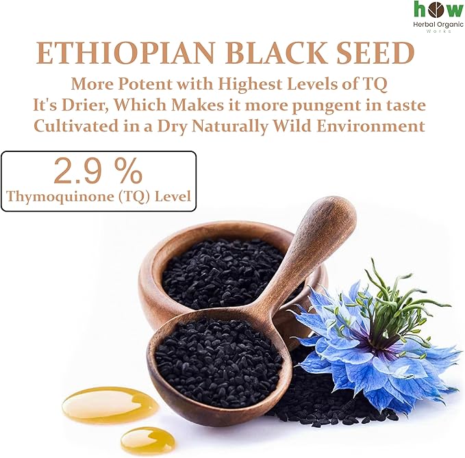 Black Seed Oil 8 oz - Cold Pressed Ethiopian Black Cumin Nigella Sativa, 3X Thymoquinone, 100% Pure Liquid in Glass Bottle - Supports Immune, Hair, and Skin Health
