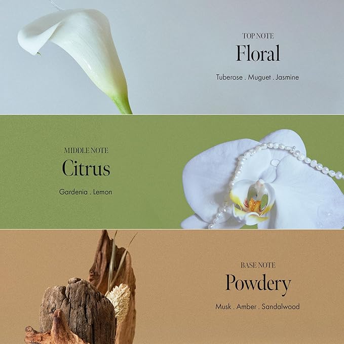 ANILLO Gardenia Veil Color Shield Hair Essence – Lightweight Leave-In Treatment for Color-Treated Hair – Shine Boost, Damage Repair, Color Fixing System, Floral Scent – (50ml / 1.69 fl. Oz)