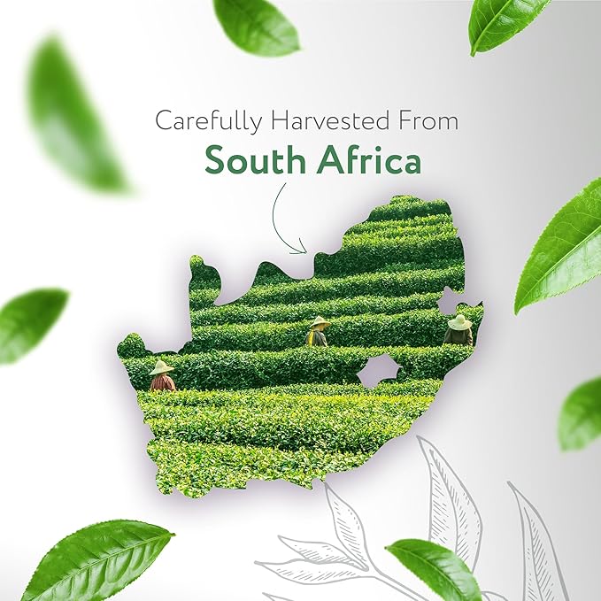 HBNO Organic Tea Tree Oil - Huge 16 oz (475ml) Large Size - Ideal for Diffusers, Cleaning Agents, Deodorizers, and Flavoring Agents.