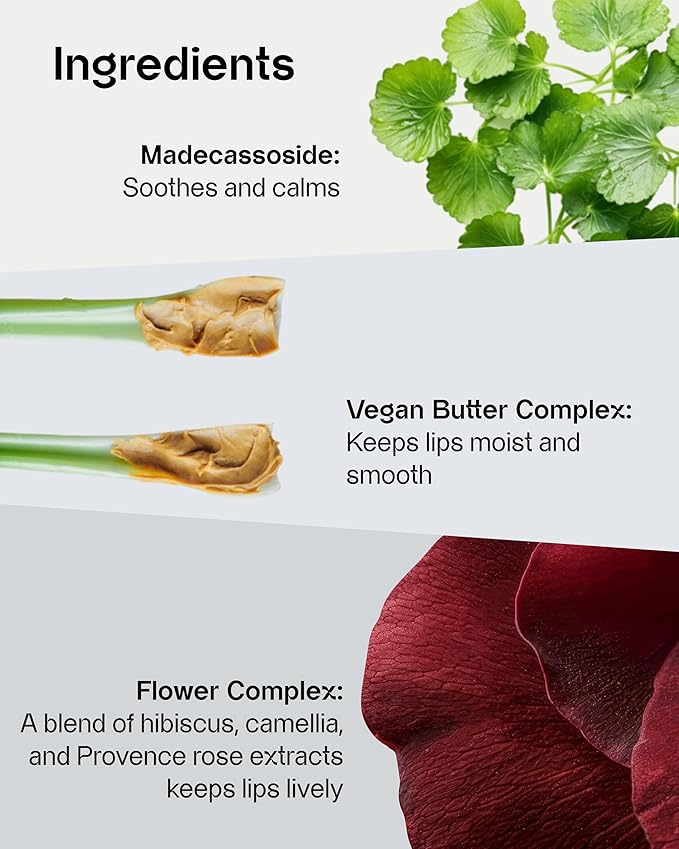 Vitamin Ampoule Lipcerin (01 Enriched, 0.5fl oz) - Moisturizing & Nourishing Lip Gloss Balm, Overnight Korean Skin Care Sleeping Mask. Vitamin C, Vegan.