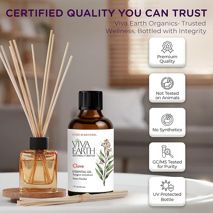 Clove Essential Oil – Pure and Natural Clove Aroma for Diffusers, Aromatherapy, Body Oils, DIY Crafts, Soap and Candle Making, and Home Scent Projects – with Dropper, 1 Fl. oz