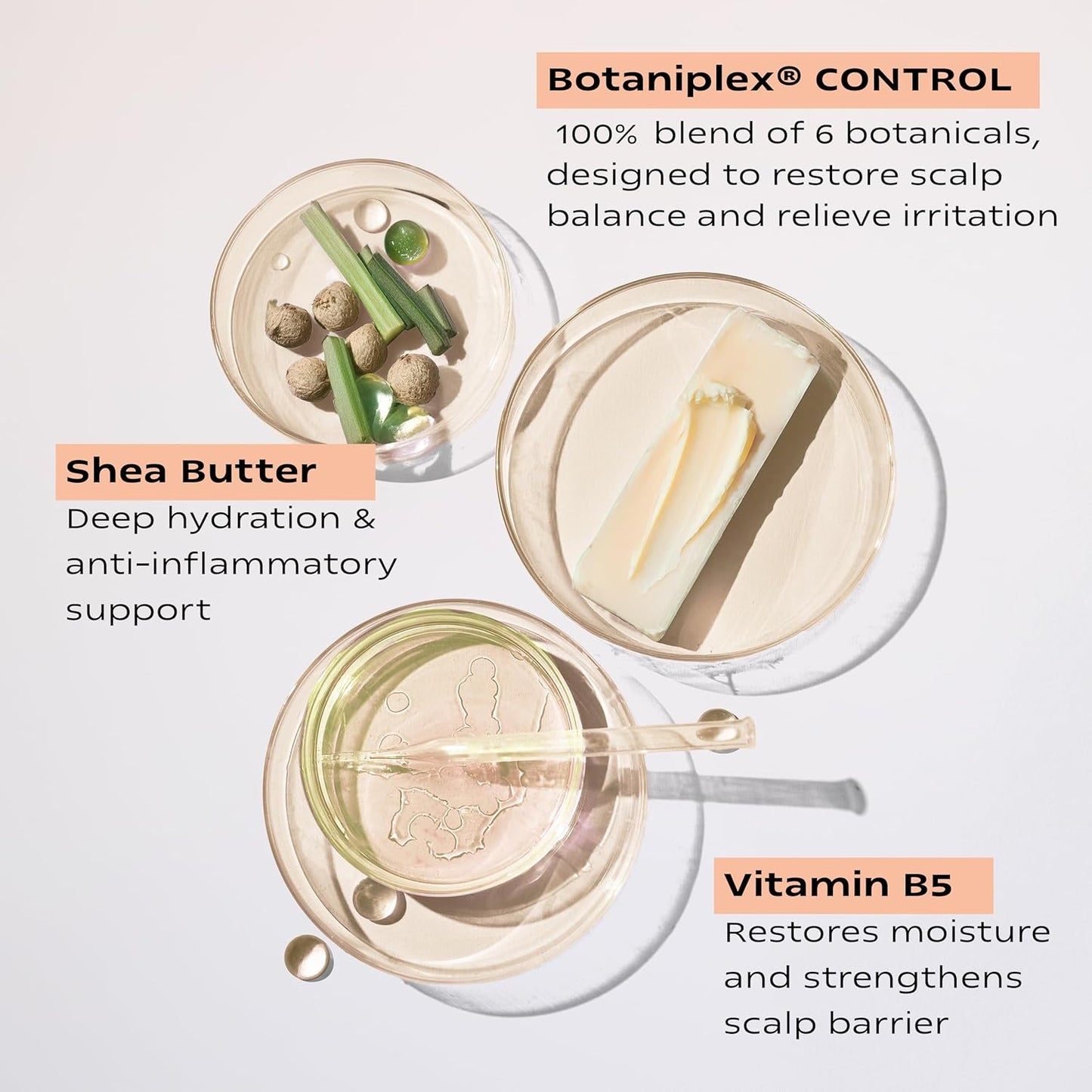 KAMEDIS Scalp Moisturizer Lotion For Dry, Itchy, Dandruff, Flaky, Seborrheic Dermatitis, Psoriasis and Sensitive Scalp. Over-Night Mask Treatment Botanicals-Based. Parabens Free. 3.38 Fl Oz.