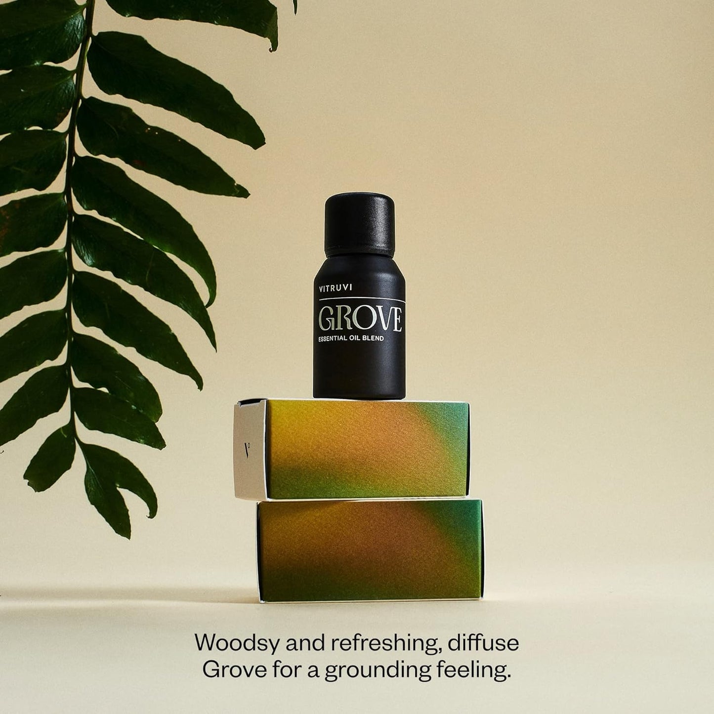 Vitruvi Grove, Grounding Essential Oil Blend, 100% Pure Pine, Fir, Spruce and Cedarwood Oil (0.5 fl.oz)