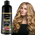 Blonde Brown Hair Dye Shampoo for Gray Coverage - 3 IN 1 Hair Color Shampoo with Argan Oil & Ginseng, Ammonia & Paraben Free, Long Lasting Semi-Permanent Natural Color for Women & Men (500ml)