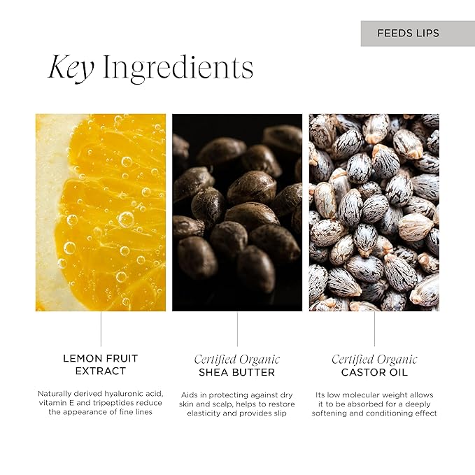 OneBody Lip Delivery Nutrition, Antioxidant-Rich Lip Balm Nourishes, Protects, and Perfects, for All Skin Types, 0.3 Oz