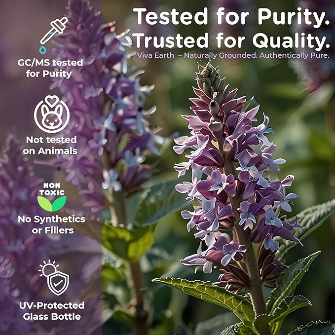 Clary Sage Essential Oil – Pure and Natural Clary Sage Aroma for Diffusers, Aromatherapy, Hair and Scalp Care, Skin Care, Massage Oils, Soap and Candle Making – with Dropper, 4 oz