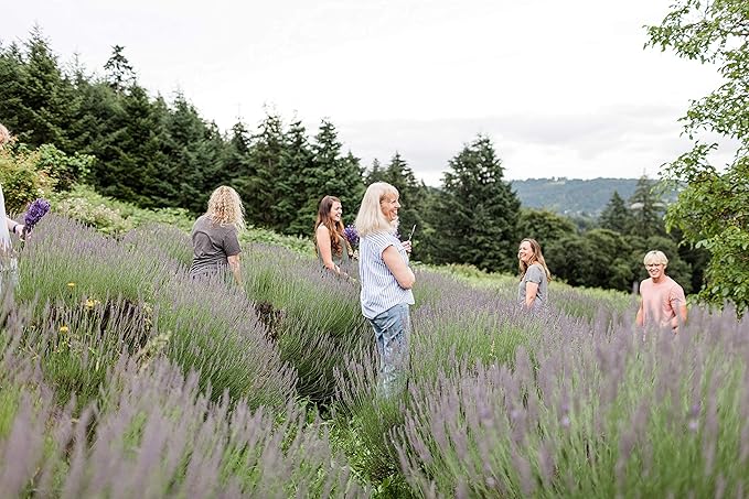 Victoria's Lavender Natural Body Products Gift Set - Handmade Soap, Hand & Body Lotion, Lip Balm, Body Candle Skin Care Sets & Kits, Lavender Bath and Body Products for Women, Lavender Currant