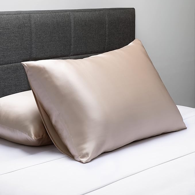 Fishers Finery 25mm 100% Pure Mulberry Silk Pillowcase (Taupe Standard)