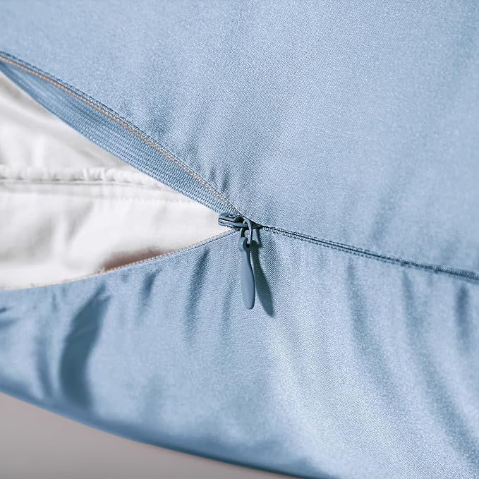 Mulberry Silk Pillowcase for Hair and Skin,Cooling Silk Pillow Case with Hidden Zipper,Allergen Proof Dual Sides Soft Breathable Smooth Silk Pillow Cover for Women (Light Blue,Body)